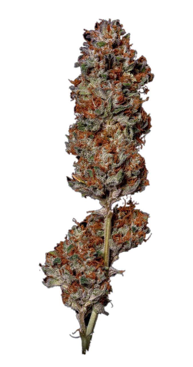 Hell's OG — Hybrid